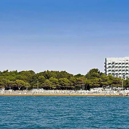 Hotel International