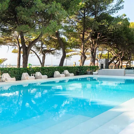 International Hotel 4*