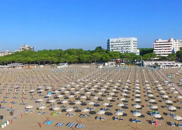 International فندق 4*